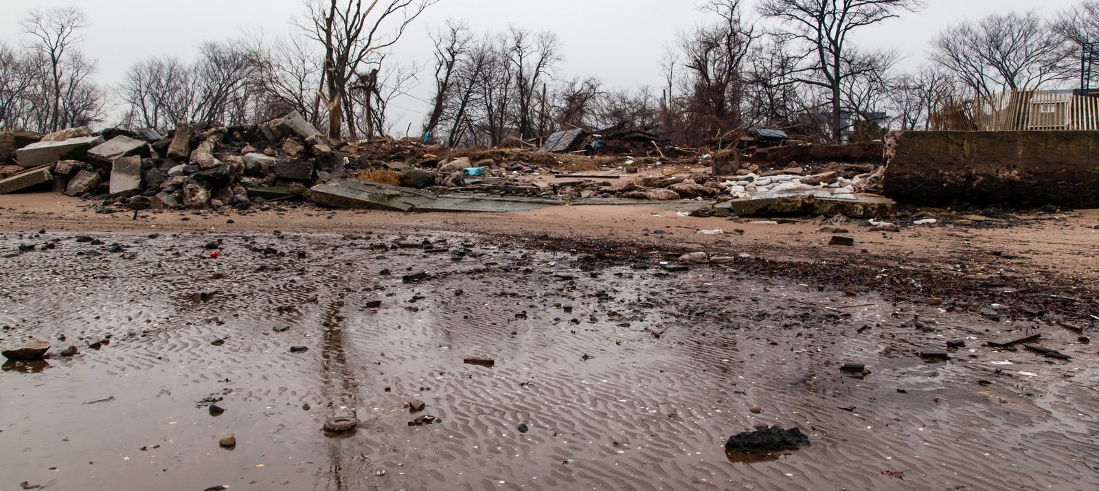 art-of-sandy-mo-staten island 2-86.jpg